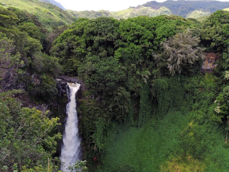 Maui